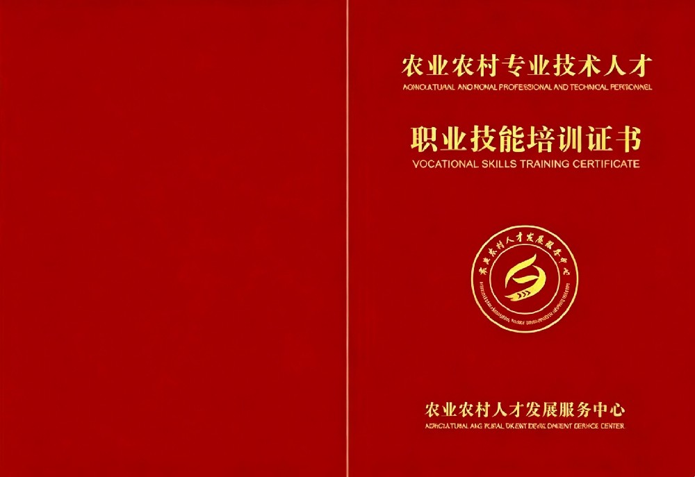 茶艺师证书报名入口_报考条件流程及费用